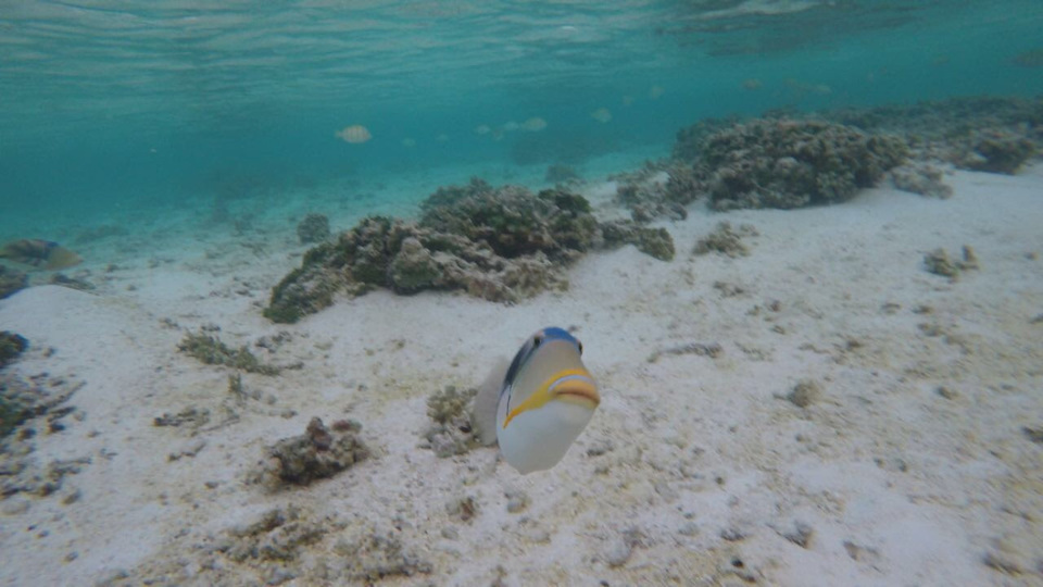 Photo of Dreamy Maldives- Club Med Kani Resort 13/25 by Sudeep