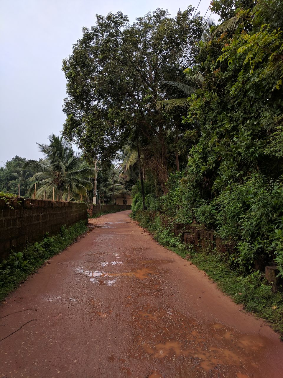 Photo of Beach Trek to Gokarna 4/17 by Ananiah Blessing