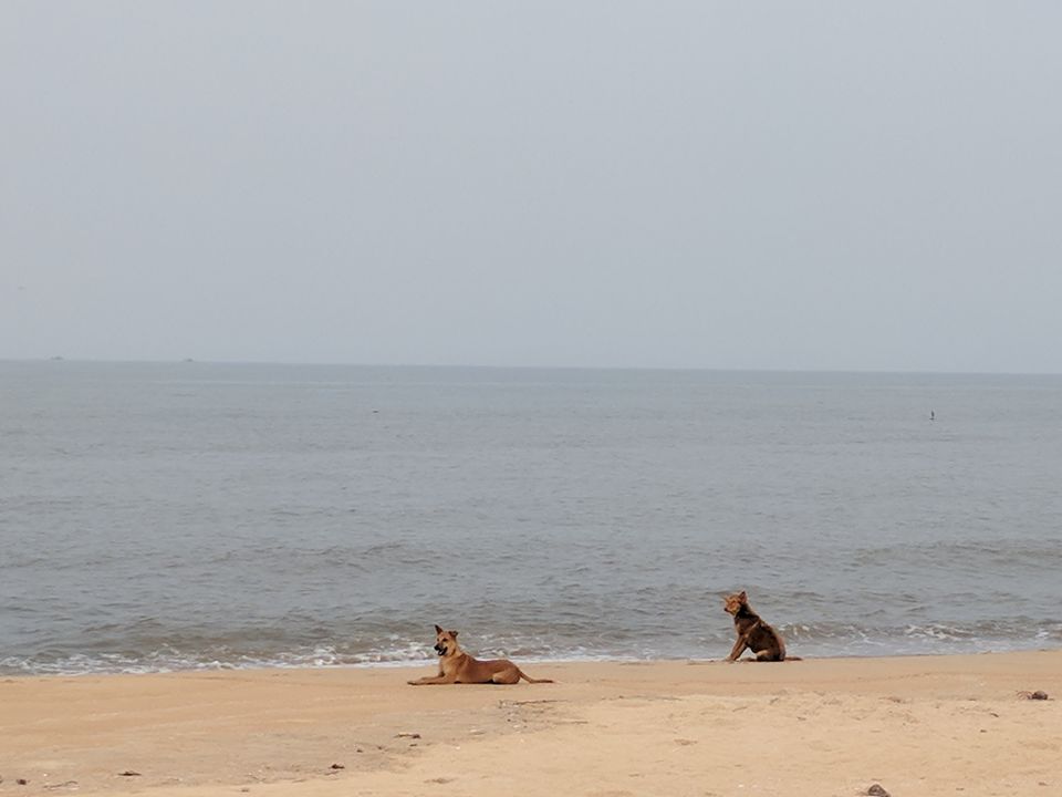 Photo of Beach Trek to Gokarna 12/17 by Ananiah Blessing