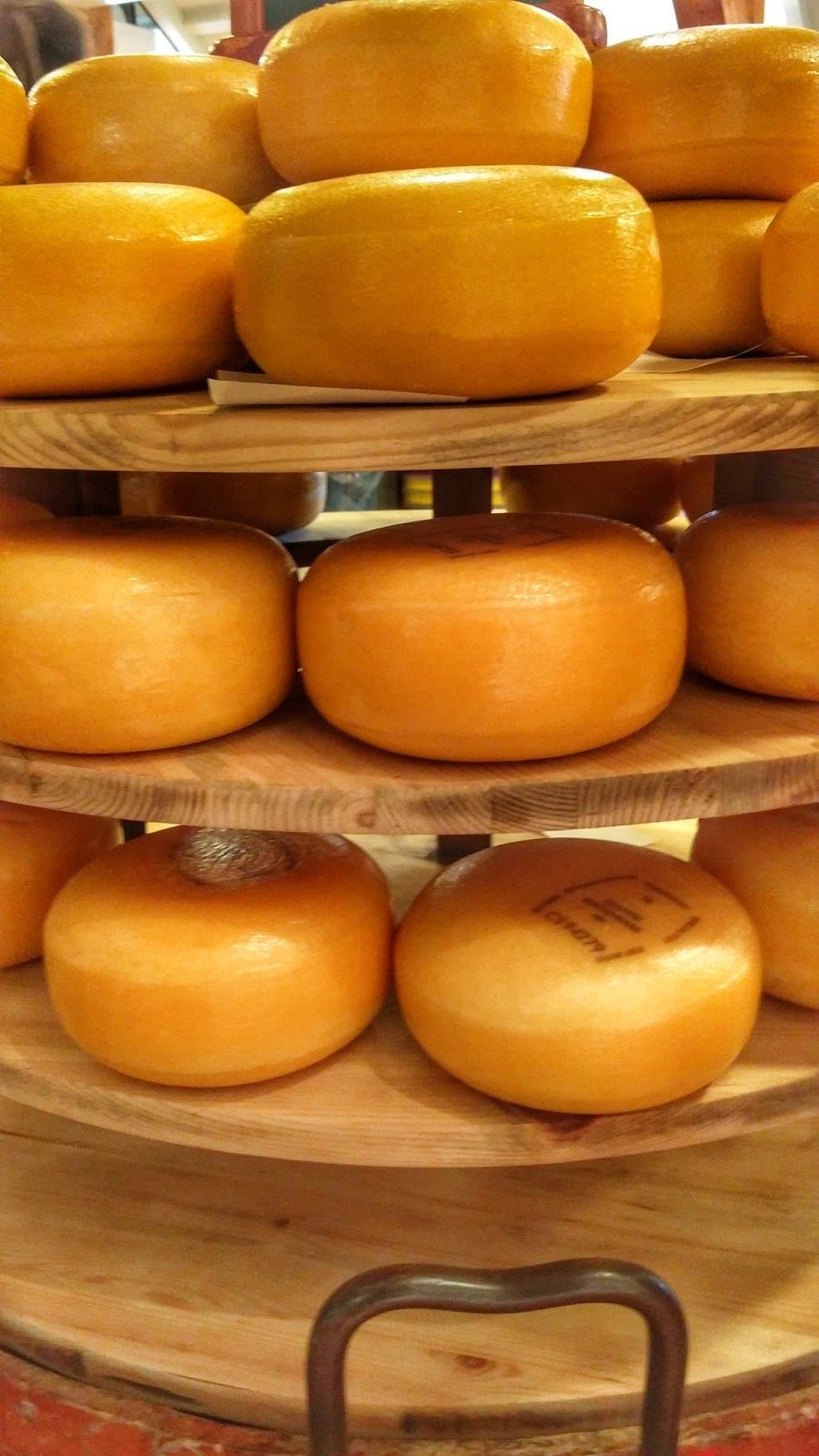 Photo of An ode to windmills and cheese 7/15 by Nidhi Kamath