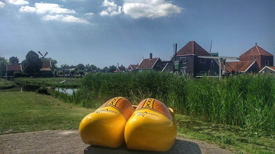 Photo of An ode to windmills and cheese 10/15 by Nidhi Kamath