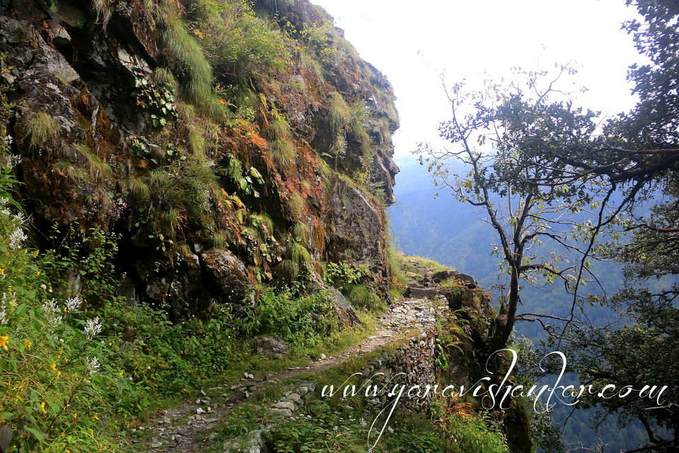 Photo of Trip to Dodhi Taal birth place of Lord Ganesh via Gangotari and Yamunotri 34/115 by Ravi Shankar