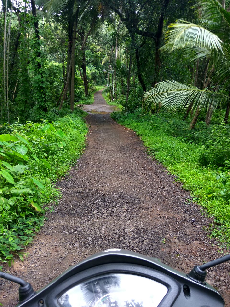 Photo of Malvan : A set beaches, paddy fields and boulevard of happiness 2/4 by Abhishek Kumar