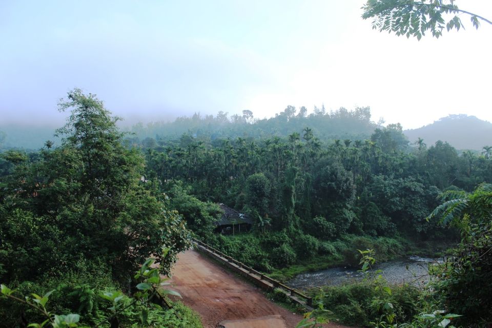 Photo of The Green Carpet that I Treaded on: My Trek to Kudremukha & Bavikonda Peaks 2/46 by Hrishikesh Baruah