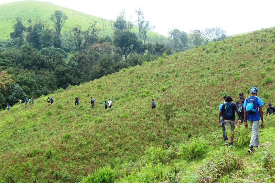 Photo of The Green Carpet that I Treaded on: My Trek to Kudremukha & Bavikonda Peaks 13/46 by Hrishikesh Baruah