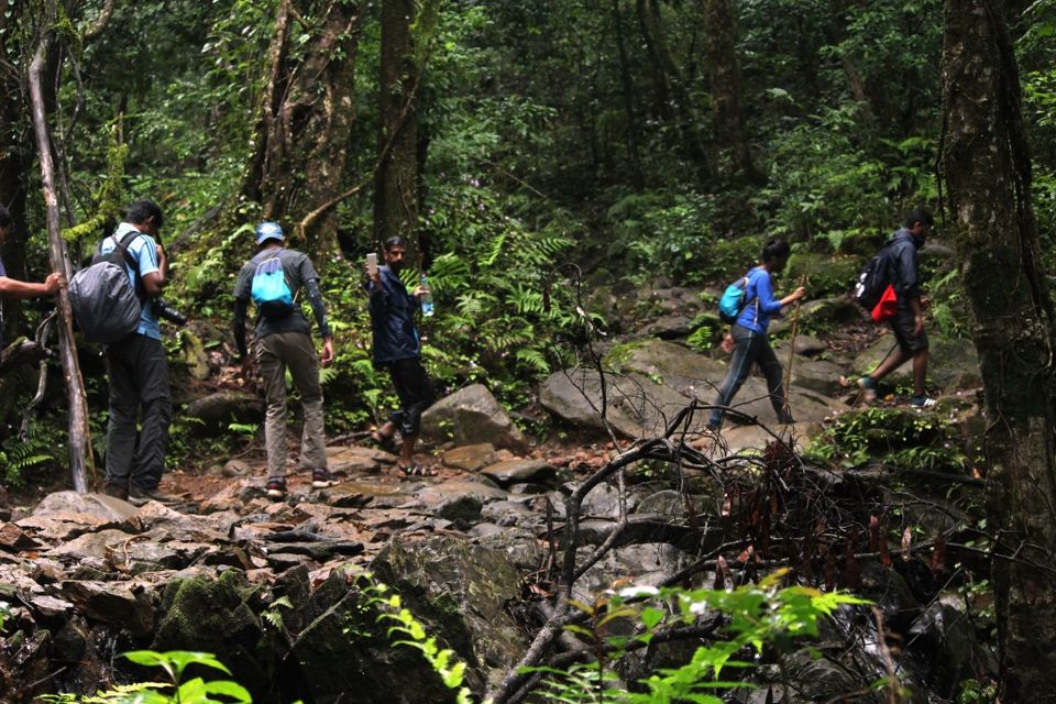 Photo of The Green Carpet that I Treaded on: My Trek to Kudremukha & Bavikonda Peaks 20/46 by Hrishikesh Baruah