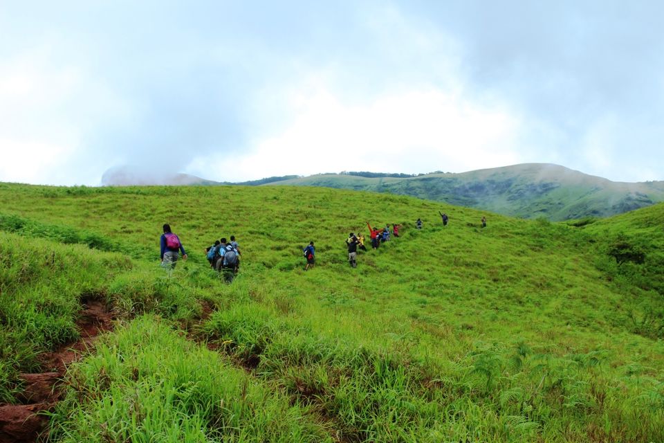 Photo of The Green Carpet that I Treaded on: My Trek to Kudremukha & Bavikonda Peaks 29/46 by Hrishikesh Baruah