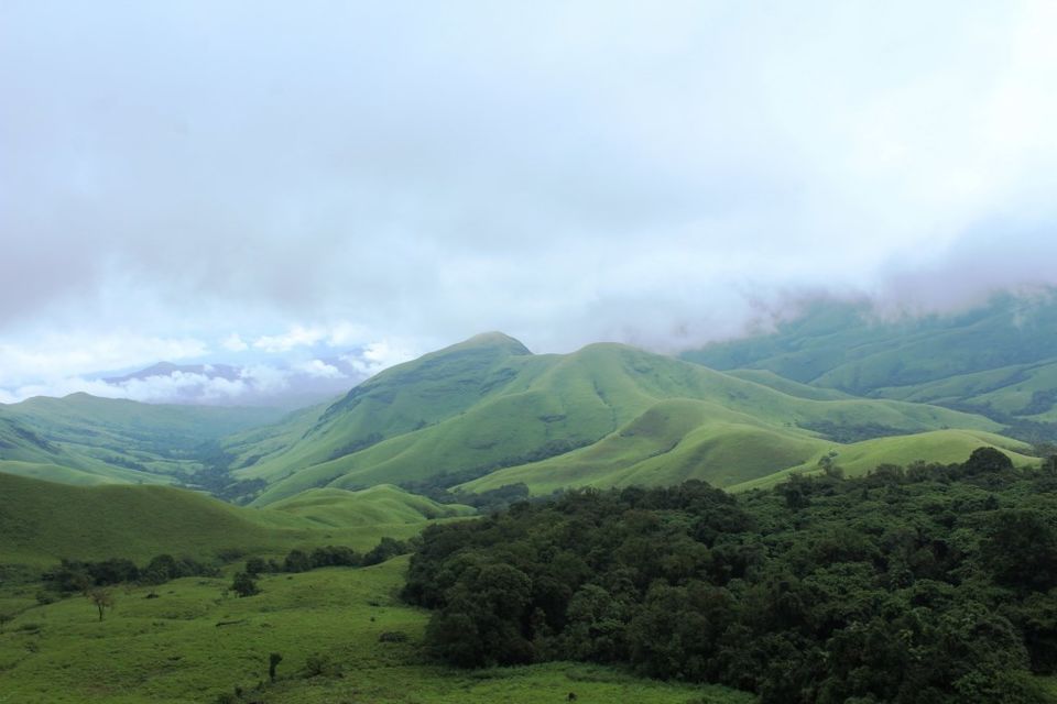 Photo of The Green Carpet that I Treaded on: My Trek to Kudremukha & Bavikonda Peaks 32/46 by Hrishikesh Baruah