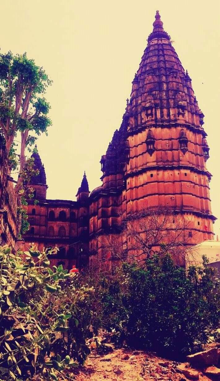 Photo of Weekend getaway from Delhi#A forgotten Page of History# Orchaa 2/10 by Ashish Khare