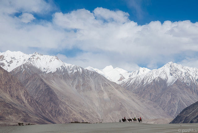 Photo of What Dreams Are Made Of: Things To Do In Ladakh In Between Snow And Sand (9D/8N) 3/34 by Tripoto