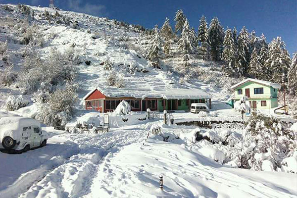 Photo of Awwwwwwwwwwli (Auli, Uttarakhand) 2/3 by Vipul & Swati