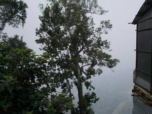 Trip to beat the heat - I (Amazing Uttarakhand)