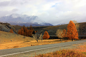 Explore Altai