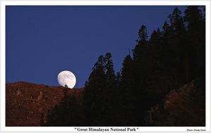 Great Himalayan National Park - Into Wilderness