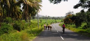 Bangalore to Goa Bicycle Tour
