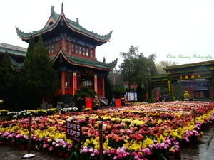 Kaifeng Daxiangguo Temple 1/4 by Tripoto