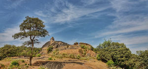 Agumbe: Of Western Ghats and it's inhabitants, and oh, a fort as well !