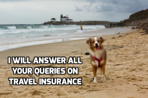 Travel Insurance: What Is It, Why Take It, How To Choose, Benefits, Providers & Other FAQs Answered