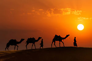Discovering the real India. Road trip to Rajasthan