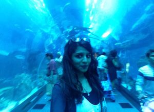 Dubai Aquarium & Underwater Zoo - Dubai - United Arab Emirates 1/9 by Tripoto