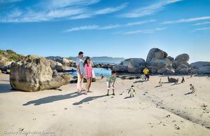 Bigger The Better: Travelling To South Africa For A Wild Family Vacation