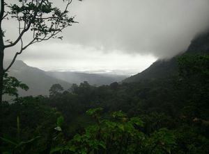 A Memorable Trip to Mystical Nongriat