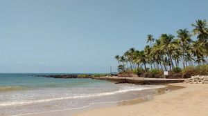 Ultimate guide to the exoticly azure Malvan