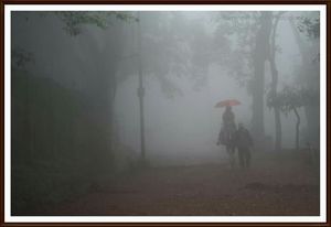 Matheran ... A world within.