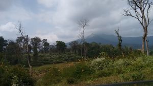 Keralam: A boon # A must visit to God's own country