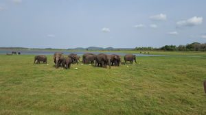 Beautiful Sri Lanka !!