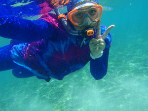 Under the sea: Snorkeling with jelly fish in Lombo