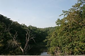 Wandering in the Wild Part II - Sasan Gir