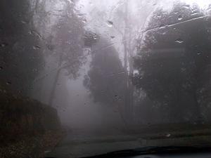 Unconventional Honeymooners-A Roadtrip